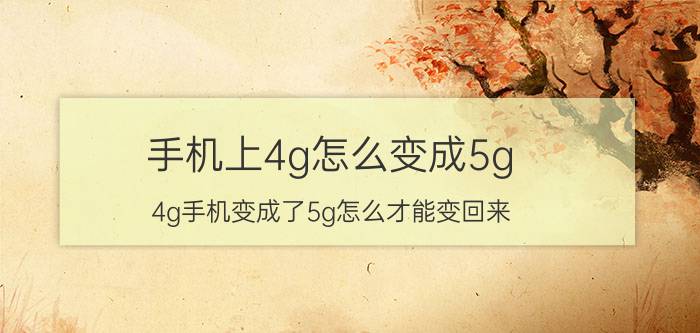 手机上4g怎么变成5g 4g手机变成了5g怎么才能变回来？